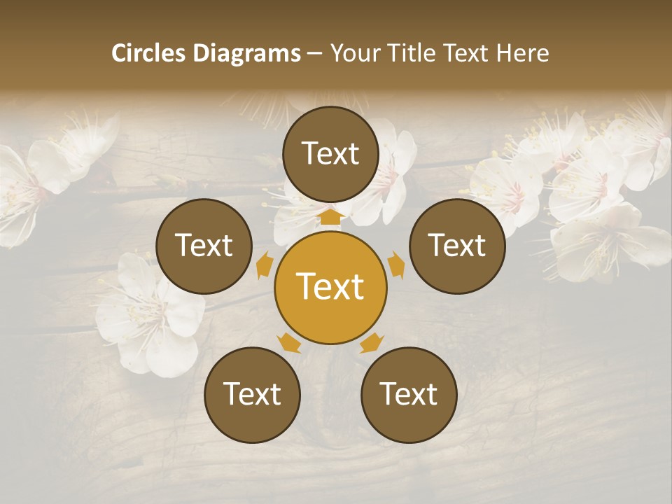 Petal Beautiful Freshness PowerPoint Template