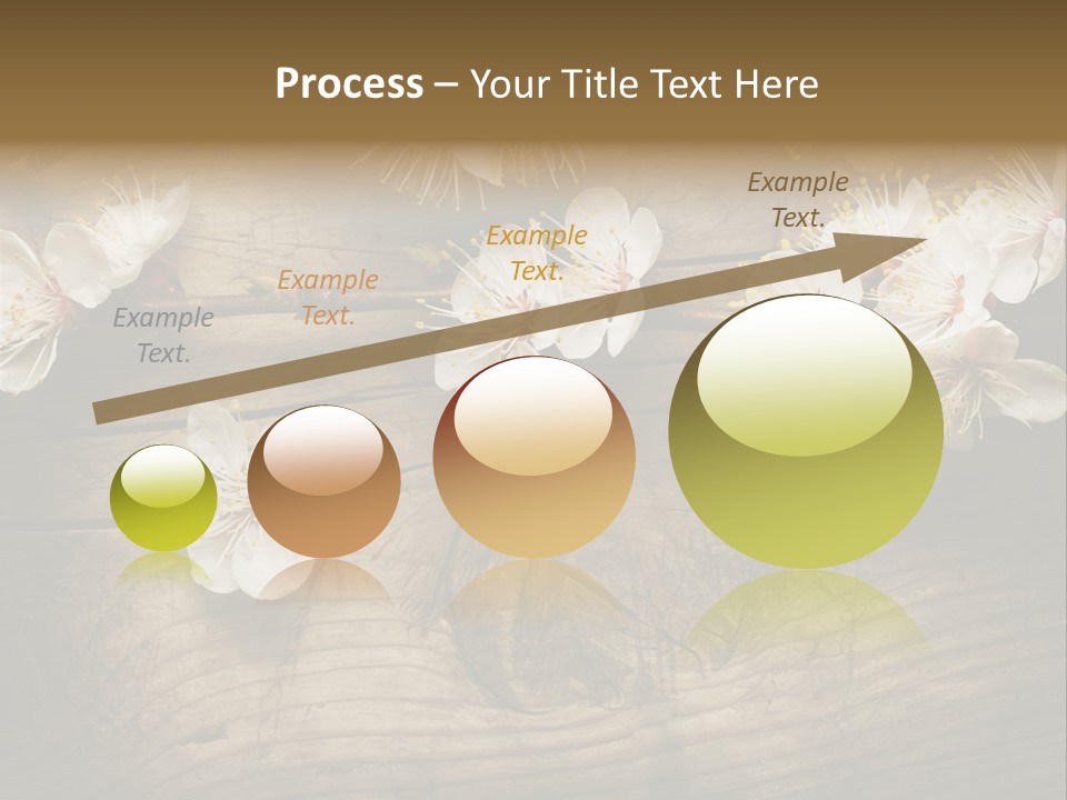 Petal Beautiful Freshness PowerPoint Template