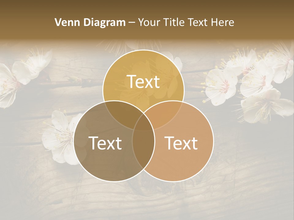 Petal Beautiful Freshness PowerPoint Template