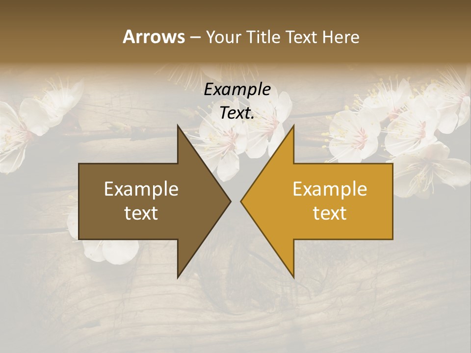 Petal Beautiful Freshness PowerPoint Template