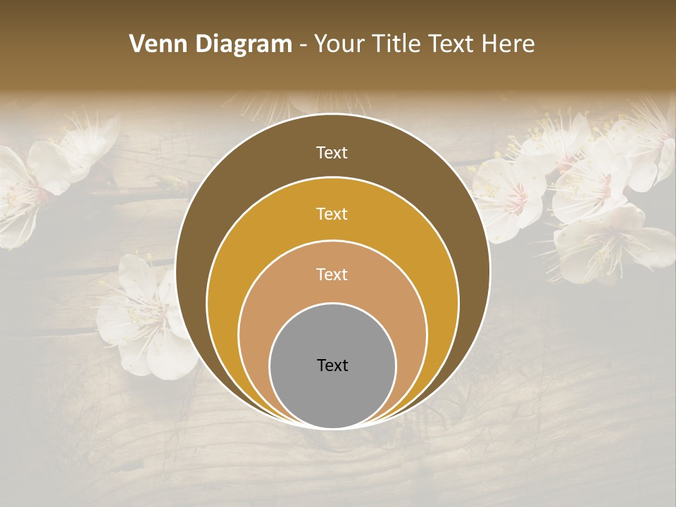 Petal Beautiful Freshness PowerPoint Template