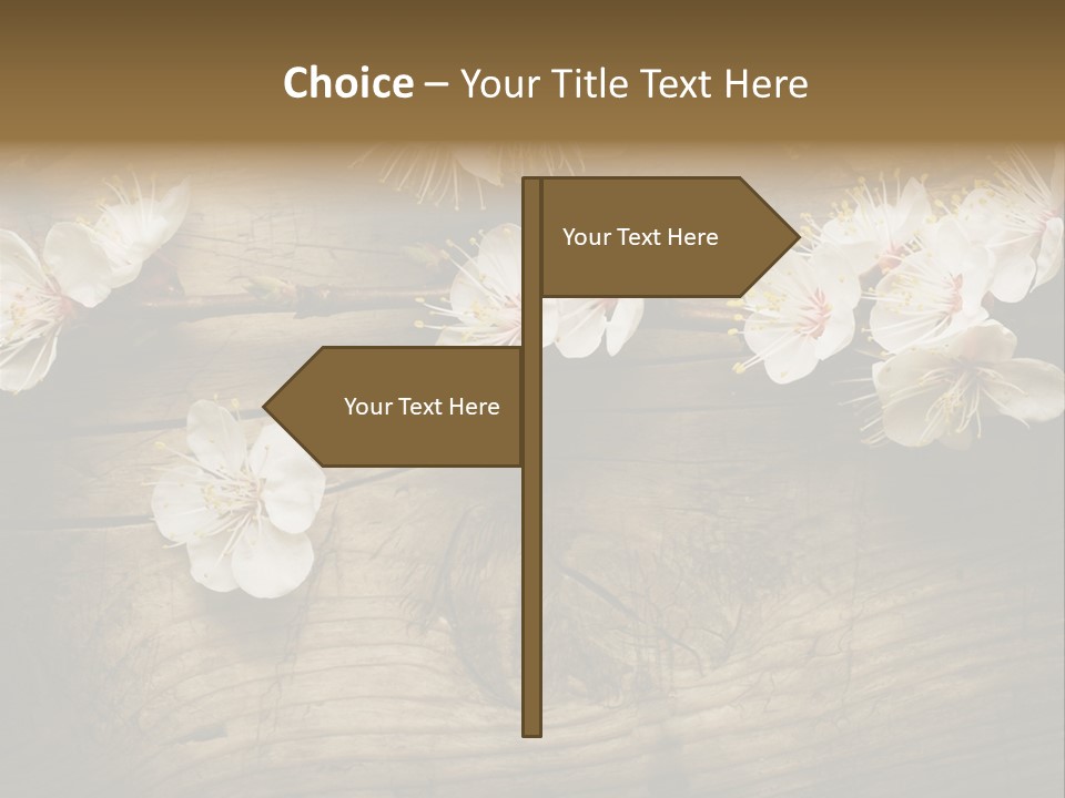 Petal Beautiful Freshness PowerPoint Template