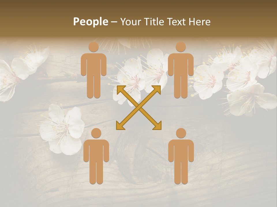 Petal Beautiful Freshness PowerPoint Template