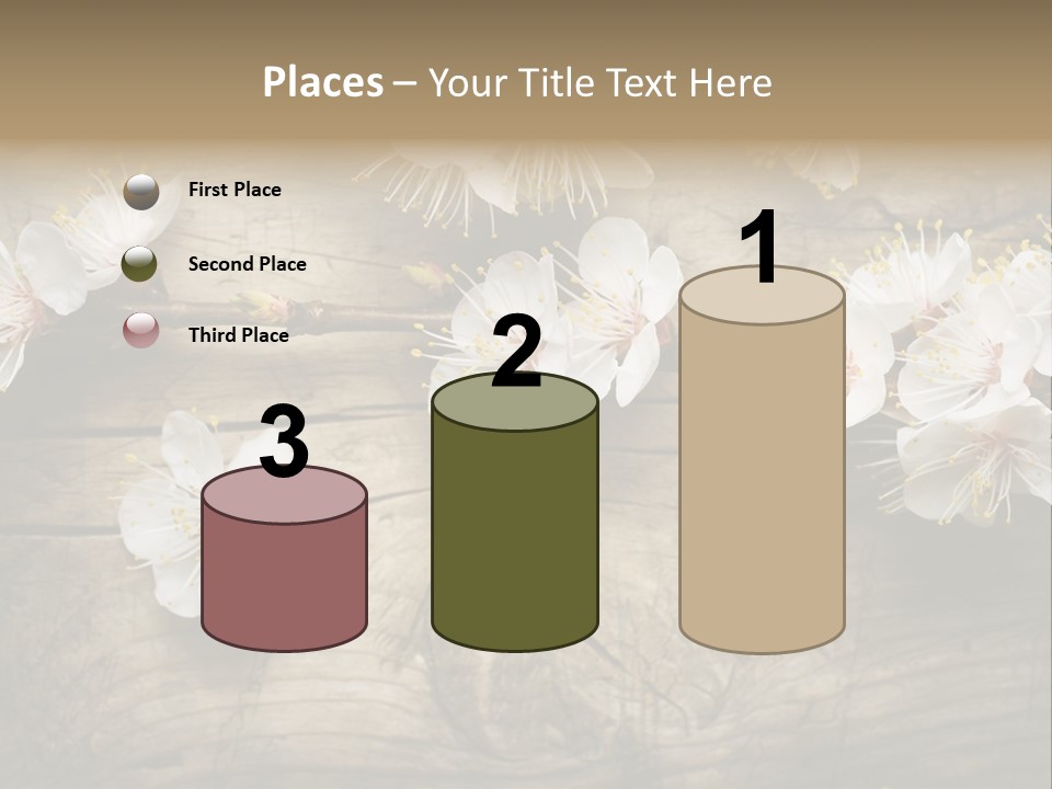 Summer Spring Focus PowerPoint Template