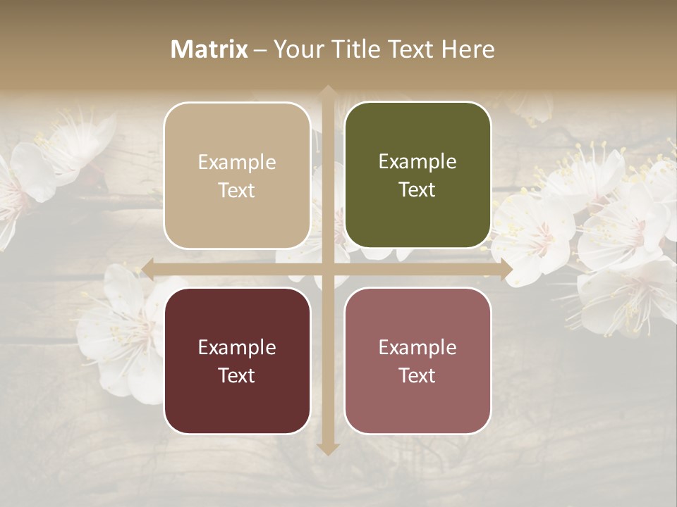 Summer Spring Focus PowerPoint Template