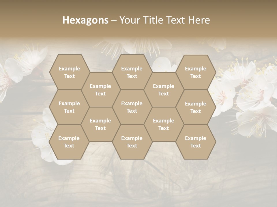 Summer Spring Focus PowerPoint Template