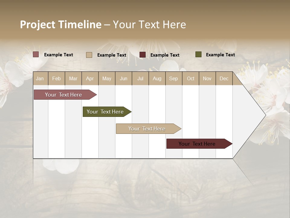 Summer Spring Focus PowerPoint Template