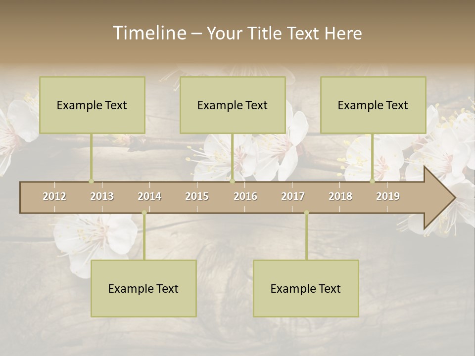 Summer Spring Focus PowerPoint Template