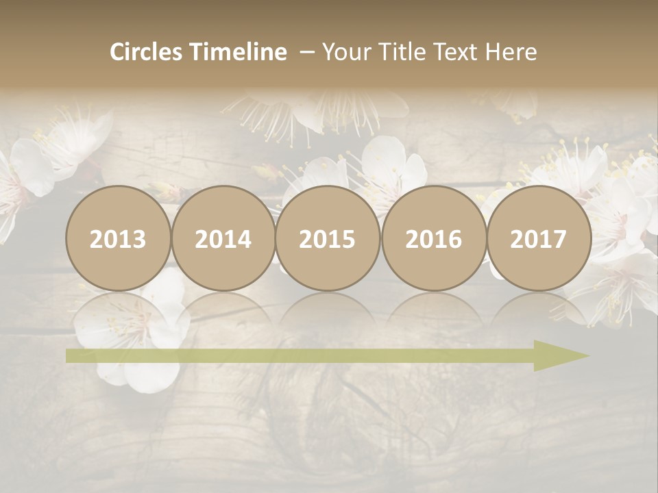 Summer Spring Focus PowerPoint Template