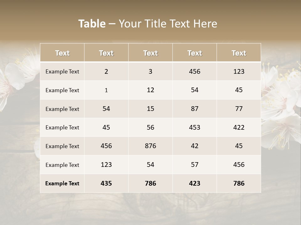 Summer Spring Focus PowerPoint Template