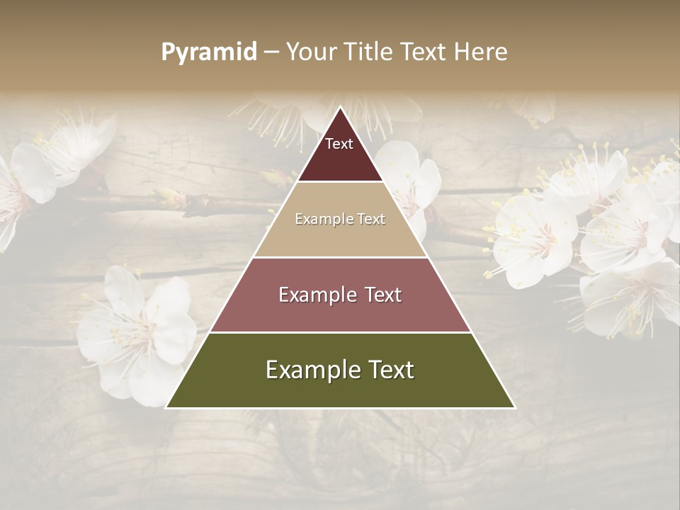 Summer Spring Focus PowerPoint Template