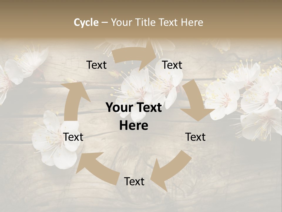 Summer Spring Focus PowerPoint Template