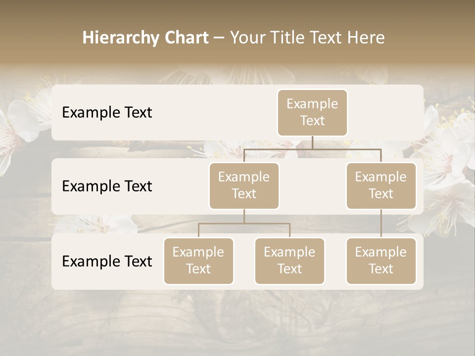 Summer Spring Focus PowerPoint Template