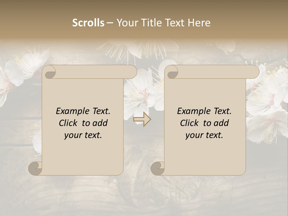 Summer Spring Focus PowerPoint Template