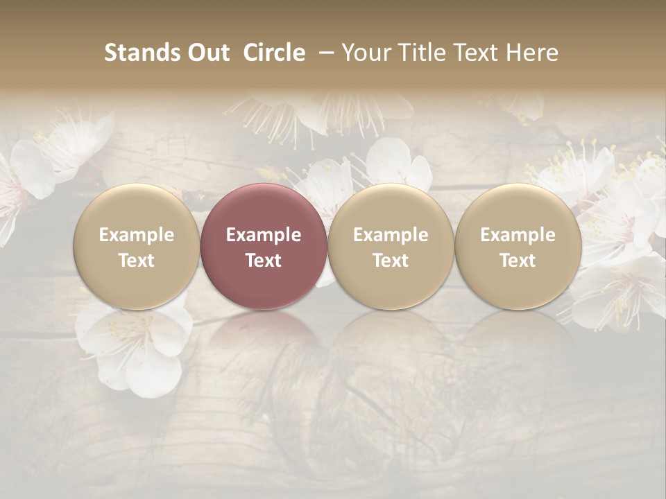 Summer Spring Focus PowerPoint Template