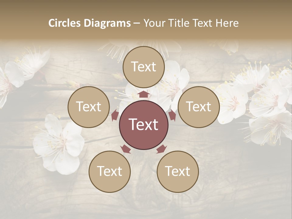 Summer Spring Focus PowerPoint Template