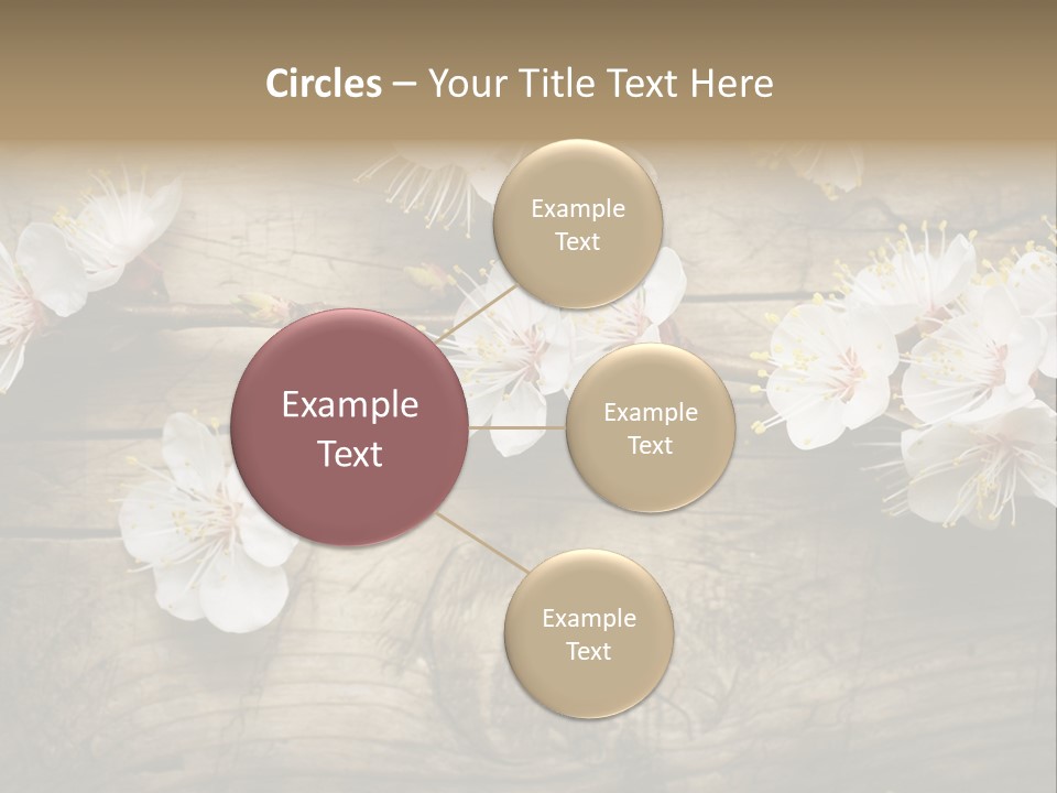 Summer Spring Focus PowerPoint Template