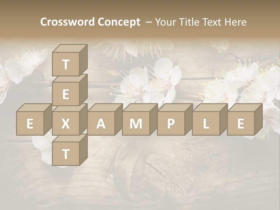 Summer Spring Focus PowerPoint Template