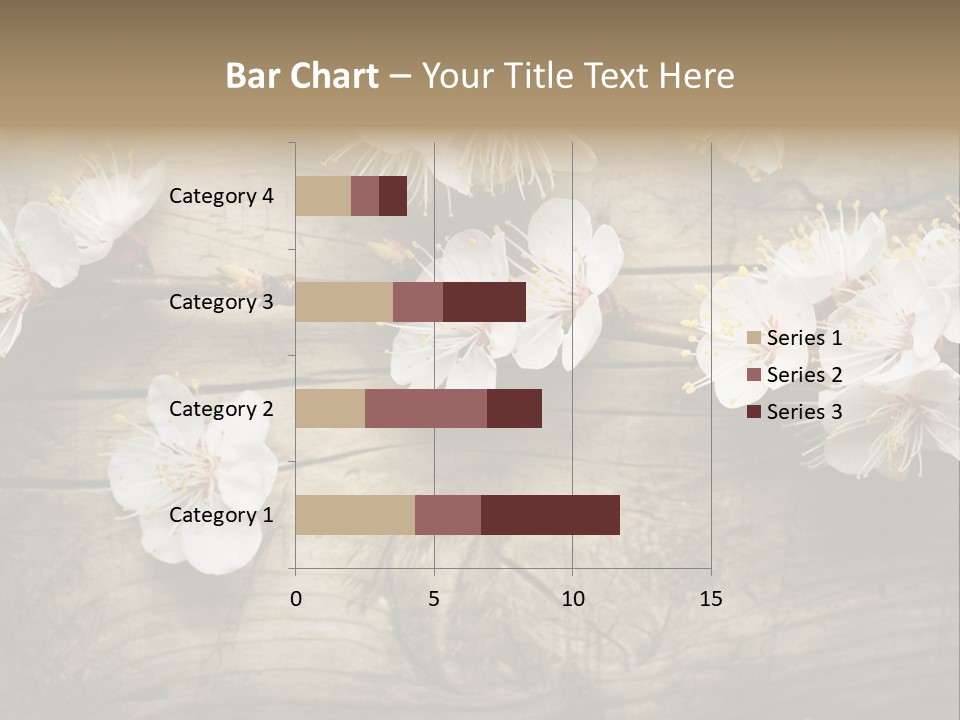 Summer Spring Focus PowerPoint Template