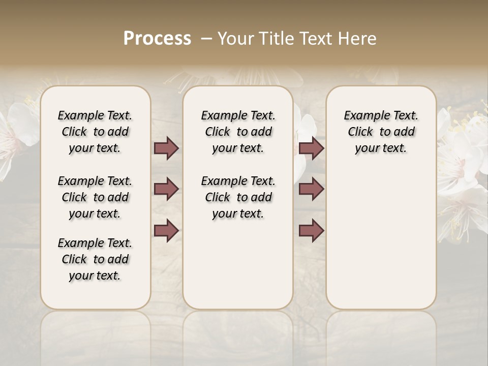 Summer Spring Focus PowerPoint Template