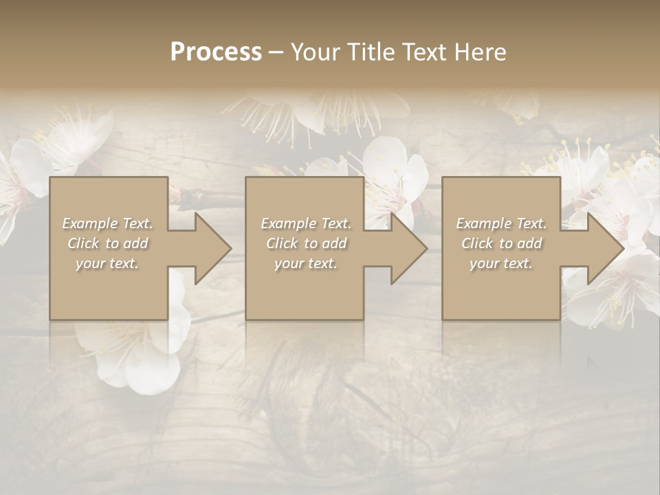 Summer Spring Focus PowerPoint Template