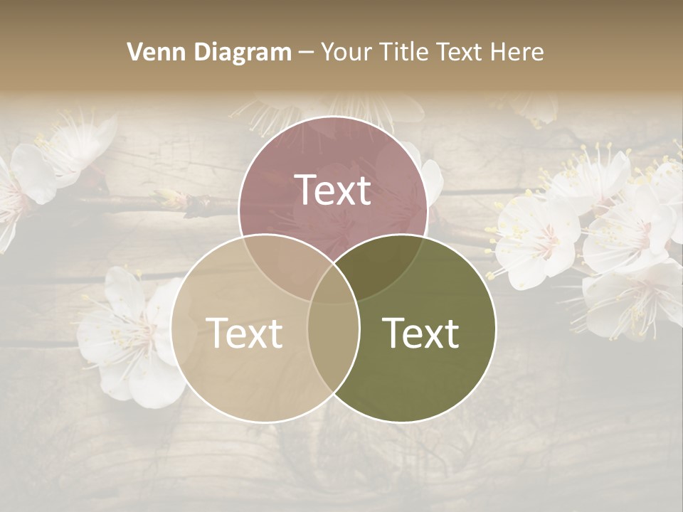 Summer Spring Focus PowerPoint Template