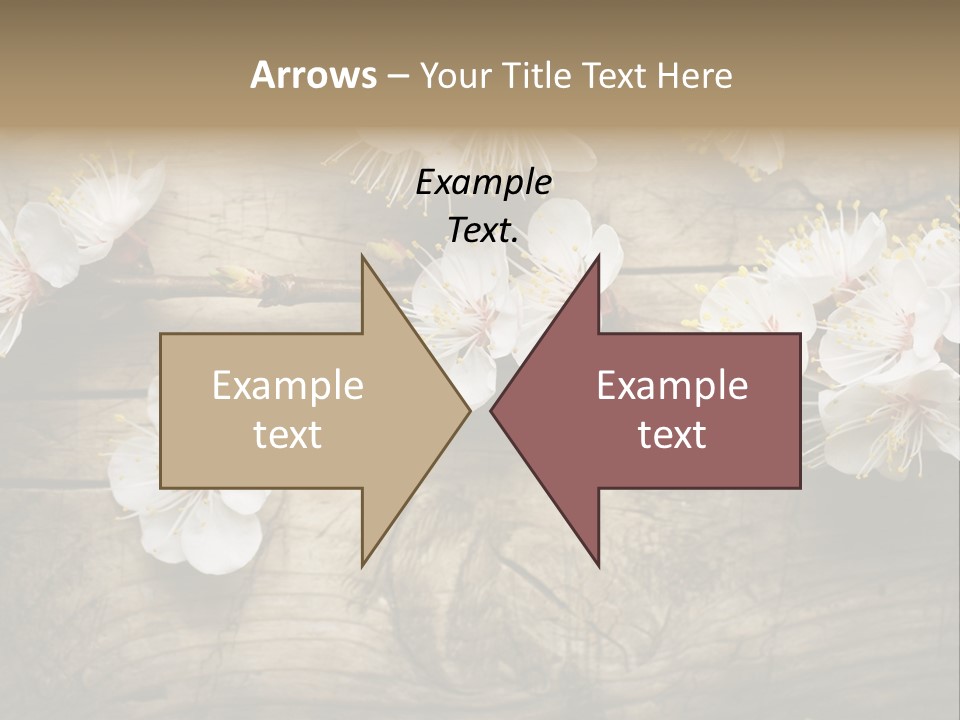 Summer Spring Focus PowerPoint Template