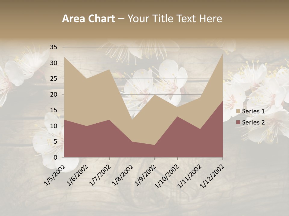 Summer Spring Focus PowerPoint Template