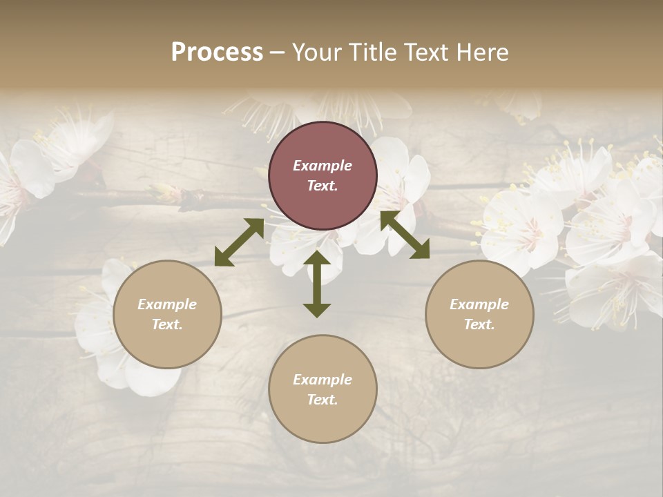 Summer Spring Focus PowerPoint Template