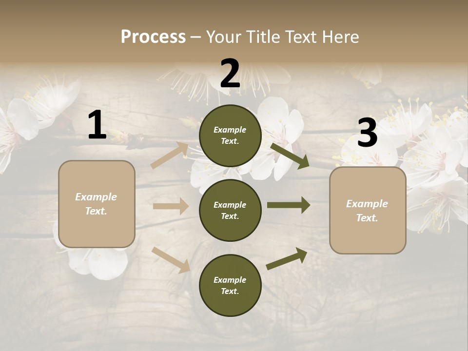 Summer Spring Focus PowerPoint Template