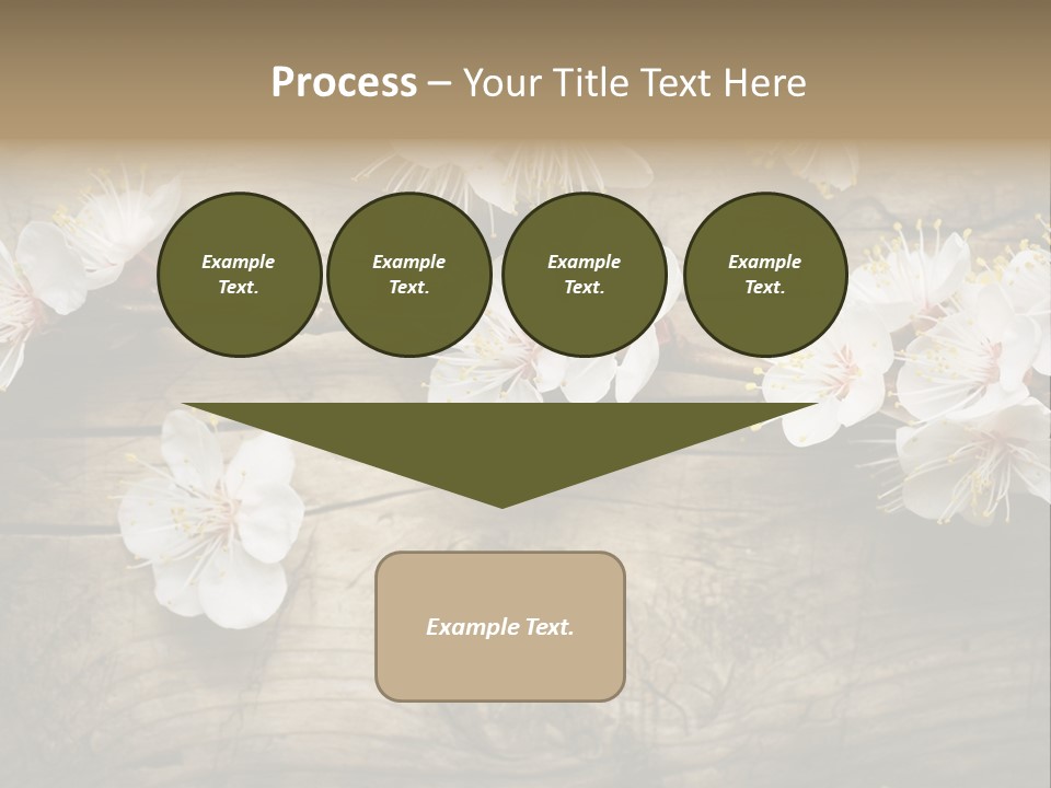 Summer Spring Focus PowerPoint Template