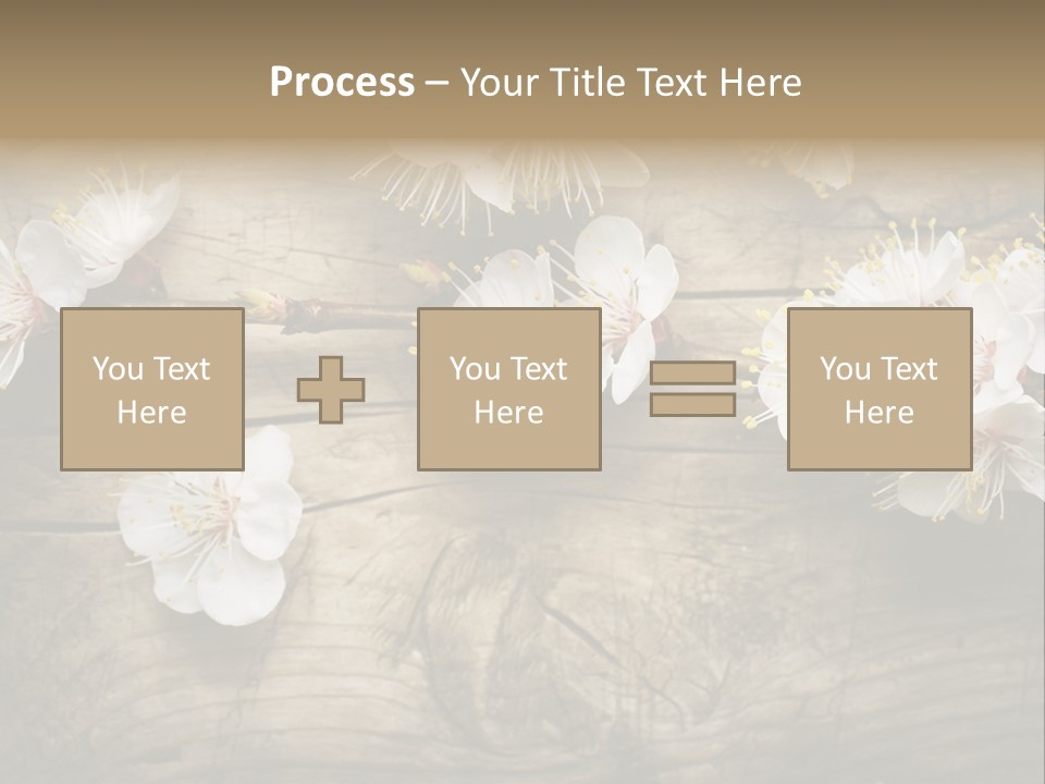 Summer Spring Focus PowerPoint Template