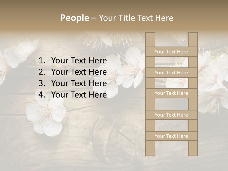 Summer Spring Focus PowerPoint Template