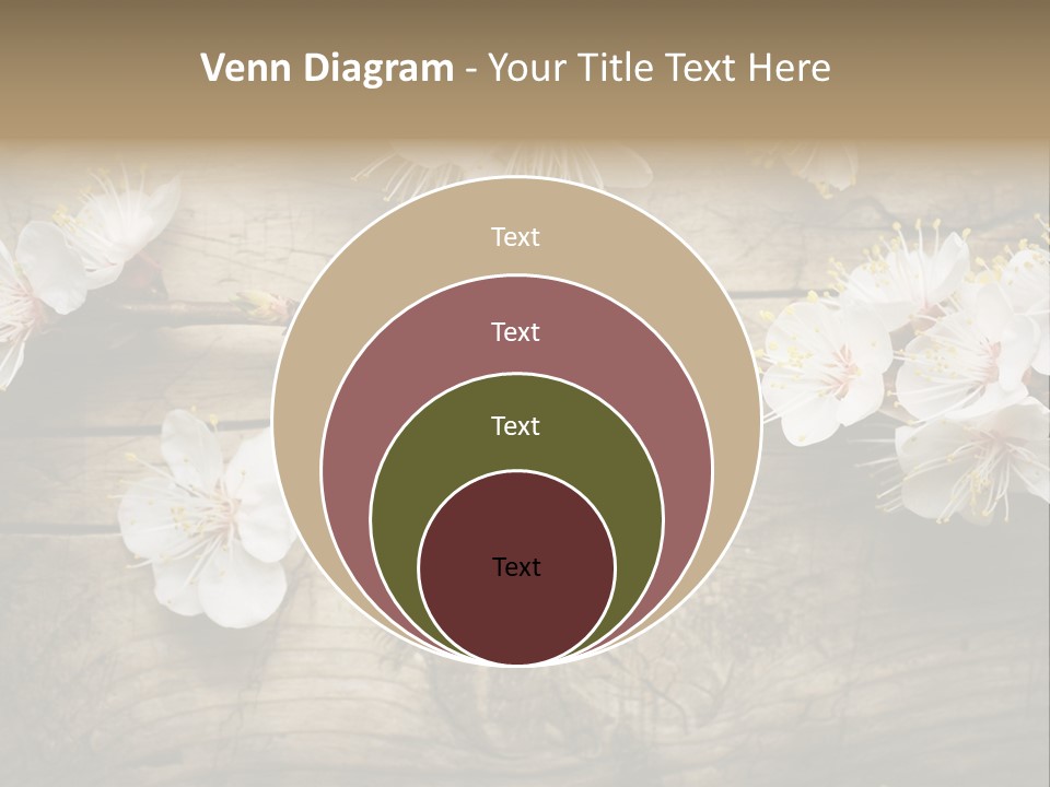 Summer Spring Focus PowerPoint Template