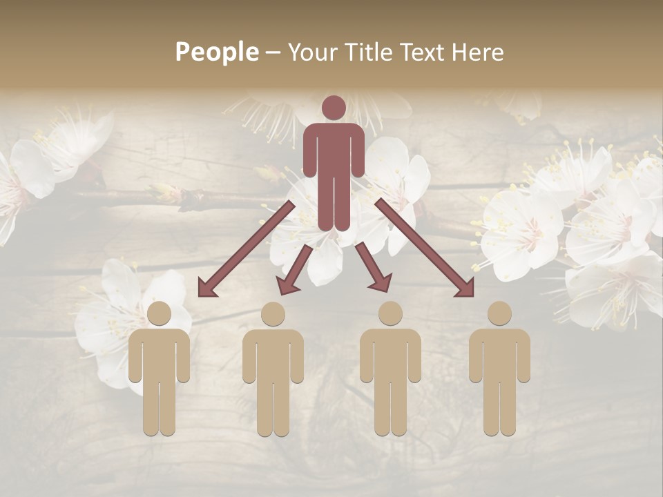 Summer Spring Focus PowerPoint Template