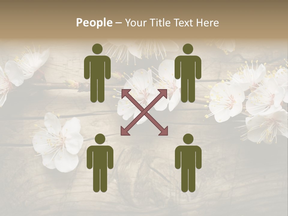 Summer Spring Focus PowerPoint Template