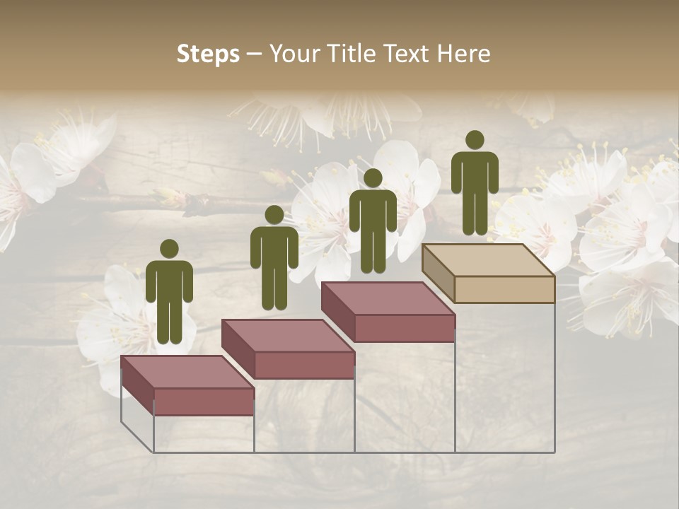 Summer Spring Focus PowerPoint Template