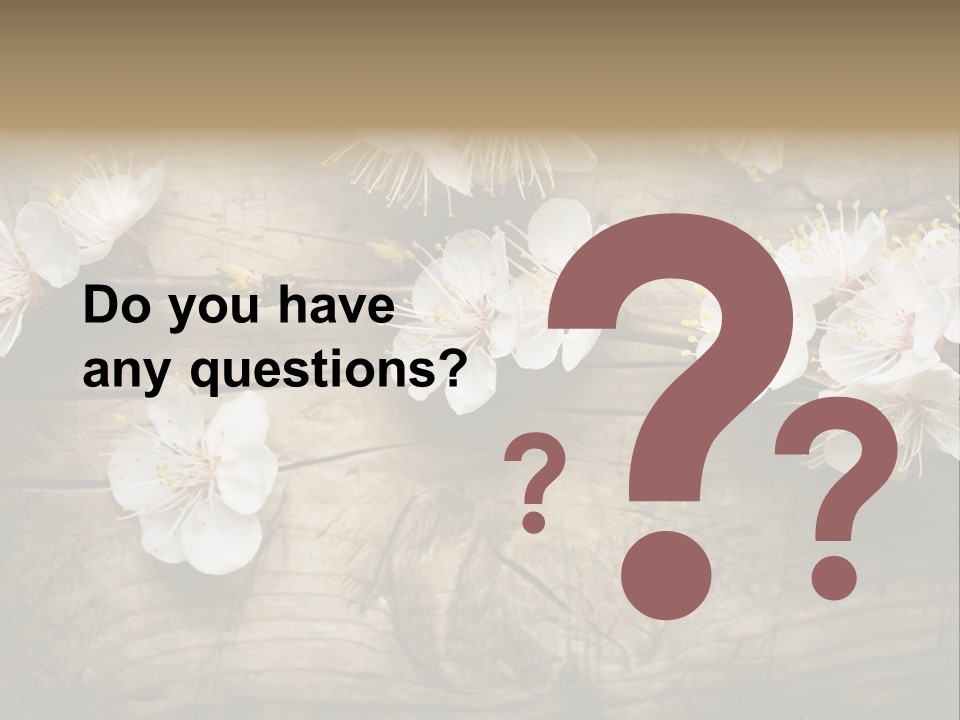 Summer Spring Focus PowerPoint Template