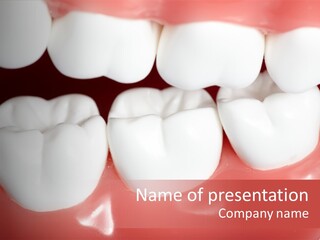 Model Teeth Gum PowerPoint Template