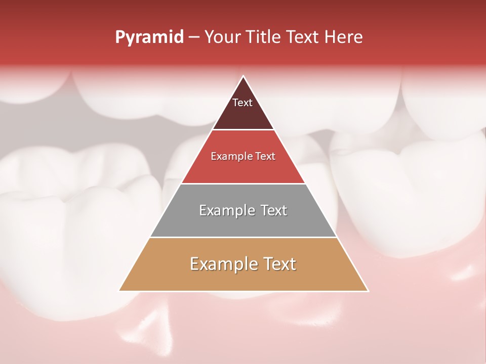 Model Teeth Gum PowerPoint Template