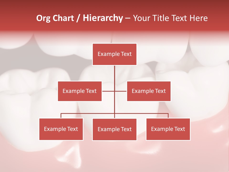 Model Teeth Gum PowerPoint Template