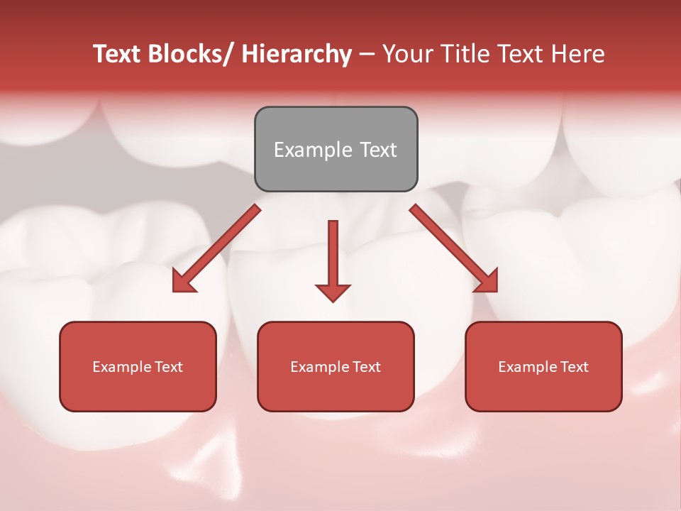 Model Teeth Gum PowerPoint Template