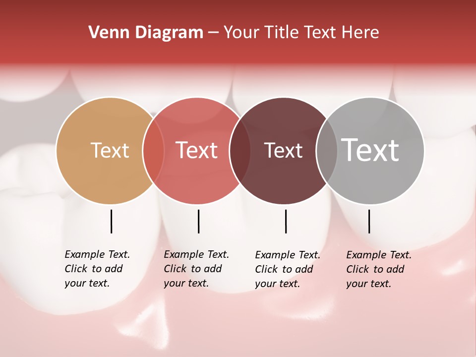 Model Teeth Gum PowerPoint Template