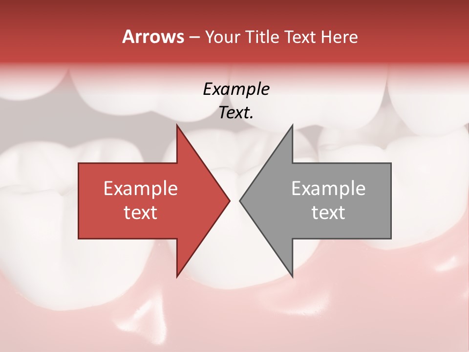 Model Teeth Gum PowerPoint Template