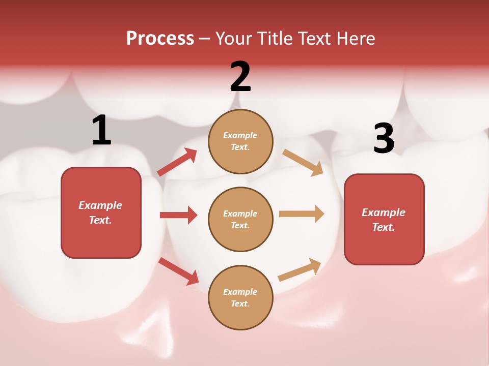 Model Teeth Gum PowerPoint Template