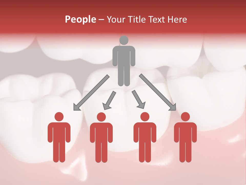 Model Teeth Gum PowerPoint Template