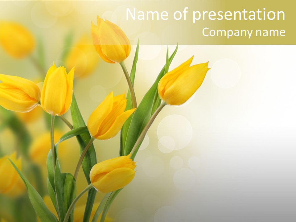 Nature Blossom Living Plant PowerPoint Template