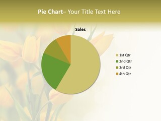 Nature Blossom Living Plant PowerPoint Template