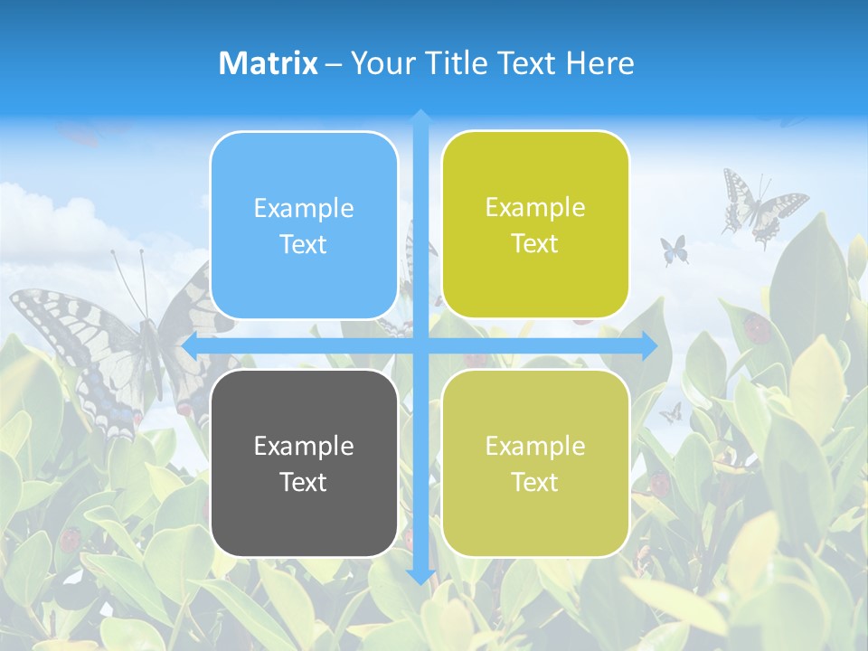 Fly Environment Ladybug PowerPoint Template