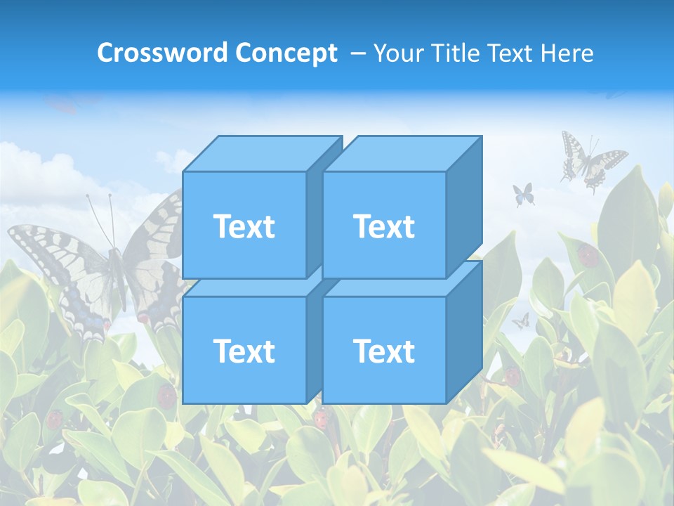 Fly Environment Ladybug PowerPoint Template